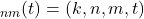 ψ_{nm}(t)=ψ(k,n,m,t)